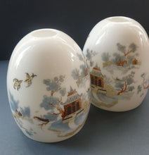 Load image into Gallery viewer, Vintage SINGLE Glass Shade. Opaque White Glass with Transfer Printed WILLOW PATTERN Design
