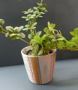 Rarer 1950s Buchan Stoneware Plant Pot. Stylish Abstract Pattern