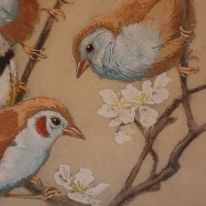 Pretty 1930s ORIGINAL Colour Etching of LIttle Birds on a Branch by Winifred Austen (1876 - 1964).  Pencil Signed