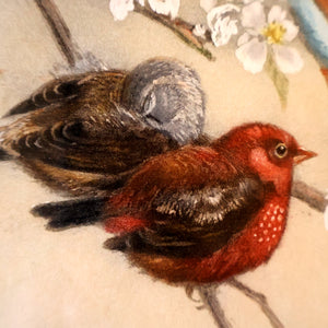 Pretty 1930s ORIGINAL Colour Etching of LIttle Birds on a Branch by Winifred Austen (1876 - 1964).  Pencil Signed