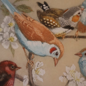 Pretty 1930s ORIGINAL Colour Etching of LIttle Birds on a Branch by Winifred Austen (1876 - 1964).  Pencil Signed