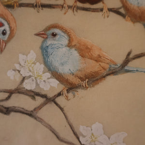 Pretty 1930s ORIGINAL Colour Etching of LIttle Birds on a Branch by Winifred Austen (1876 - 1964).  Pencil Signed