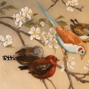 Pretty 1930s ORIGINAL Colour Etching of LIttle Birds on a Branch by Winifred Austen (1876 - 1964).  Pencil Signed
