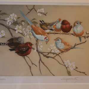 Pretty 1930s ORIGINAL Colour Etching of LIttle Birds on a Branch by Winifred Austen (1876 - 1964).  Pencil Signed