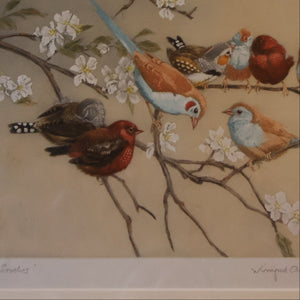 Pretty 1930s ORIGINAL Colour Etching of LIttle Birds on a Branch by Winifred Austen (1876 - 1964).  Pencil Signed