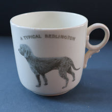 Load image into Gallery viewer, ANTIQUE 1911 Edwardian Mug by Co-operative Wholesale Society Ltd with BEDLINGTON TERRIER Decoration
