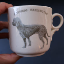 Load image into Gallery viewer, ANTIQUE 1911 Edwardian Mug by Co-operative Wholesale Society Ltd with BEDLINGTON TERRIER Decoration

