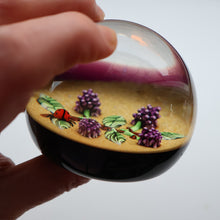 Load image into Gallery viewer, Vintage LIMITED EDITION 1990 Caithness Glass Paperweight. Entitled "Blackberries and Ladybird" by William Manson
