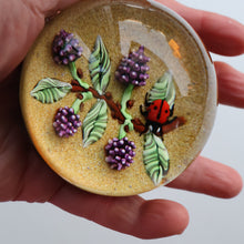 Load image into Gallery viewer, Vintage LIMITED EDITION 1990 Caithness Glass Paperweight. Entitled "Blackberries and Ladybird" by William Manson

