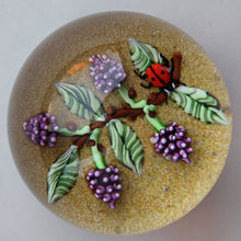 Load image into Gallery viewer, Vintage LIMITED EDITION 1990 Caithness Glass Paperweight. Entitled "Blackberries and Ladybird" by William Manson
