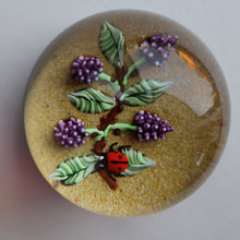 Load image into Gallery viewer, Vintage LIMITED EDITION 1990 Caithness Glass Paperweight. Entitled "Blackberries and Ladybird" by William Manson
