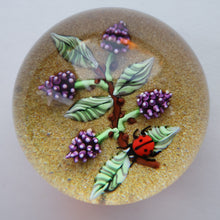 Load image into Gallery viewer, Vintage LIMITED EDITION 1990 Caithness Glass Paperweight. Entitled "Blackberries and Ladybird" by William Manson
