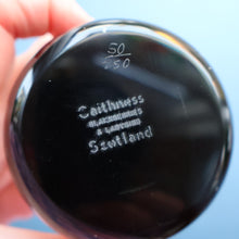 Load image into Gallery viewer, Vintage LIMITED EDITION 1990 Caithness Glass Paperweight. Entitled "Blackberries and Ladybird" by William Manson
