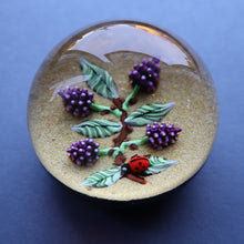 Load image into Gallery viewer, Vintage LIMITED EDITION 1990 Caithness Glass Paperweight. Entitled "Blackberries and Ladybird" by William Manson
