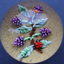 Load image into Gallery viewer, Vintage LIMITED EDITION 1990 Caithness Glass Paperweight. Entitled "Blackberries and Ladybird" by William Manson
