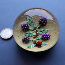 Load image into Gallery viewer, Vintage LIMITED EDITION 1990 Caithness Glass Paperweight. Entitled "Blackberries and Ladybird" by William Manson
