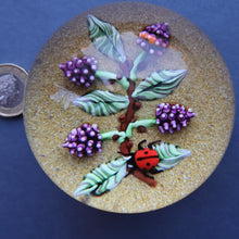 Load image into Gallery viewer, Vintage LIMITED EDITION 1990 Caithness Glass Paperweight. Entitled "Blackberries and Ladybird" by William Manson
