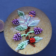 Load image into Gallery viewer, Vintage LIMITED EDITION 1990 Caithness Glass Paperweight. Entitled "Blackberries and Ladybird" by William Manson
