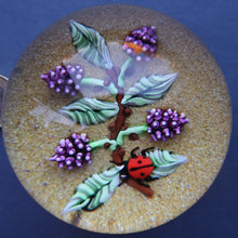 Load image into Gallery viewer, Vintage LIMITED EDITION 1990 Caithness Glass Paperweight. Entitled "Blackberries and Ladybird" by William Manson
