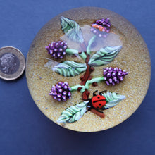 Load image into Gallery viewer, Vintage LIMITED EDITION 1990 Caithness Glass Paperweight. Entitled "Blackberries and Ladybird" by William Manson
