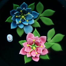 Load image into Gallery viewer, SCOTTISH Limited Edition 1992 Caithness Lampwork Paperweight ROSE GARLAND  by William Manson. Signed to the base 
