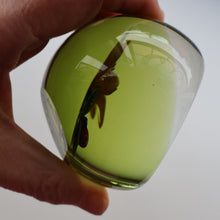 Load image into Gallery viewer, Vintage LIMITED EDITION 1991 Caithness Glass Paperweight. Entitled "Lily and Ladybird" by William Manson
