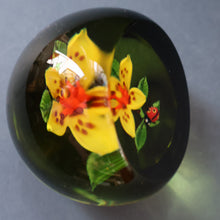 Load image into Gallery viewer, Vintage LIMITED EDITION 1991 Caithness Glass Paperweight. Entitled "Lily and Ladybird" by William Manson
