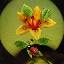 Load image into Gallery viewer, Vintage LIMITED EDITION 1991 Caithness Glass Paperweight. Entitled "Lily and Ladybird" by William Manson

