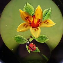 Load image into Gallery viewer, Vintage LIMITED EDITION 1991 Caithness Glass Paperweight. Entitled "Lily and Ladybird" by William Manson
