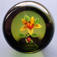 Load image into Gallery viewer, Vintage LIMITED EDITION 1991 Caithness Glass Paperweight. Entitled "Lily and Ladybird" by William Manson
