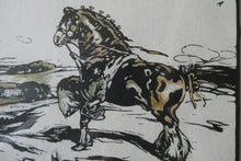 Load image into Gallery viewer, Framed Original Williamm Nicholson Colour Woodcut The Shire Horse FRAMED 1904
