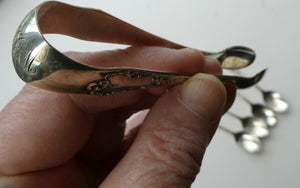 1901 Edwardian Teaspoons and Silver Sugar Tongs