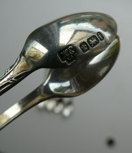 1901 Edwardian Teaspoons and Silver Sugar Tongs