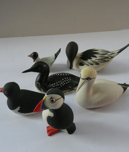 Alasdair Dunn Arran Job Lot Porcelain Seabirds