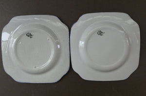 SCOTTISH POTTERY. Scottish Lady Decorator / Painter. 1930s Hand-Painted Pair of Side Plates. 6 3/4 inches