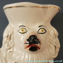 Load image into Gallery viewer, Unusual Victorian Staffordshire King Charles Spaniels Jug; circa 1860
