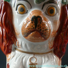 Load image into Gallery viewer, Sweet ANTIQUE STAFFORDSHIRE 19th Century Tall Spaniel Dog Jug or Pitcher
