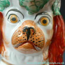 Load image into Gallery viewer, Sweet ANTIQUE STAFFORDSHIRE 19th Century Tall Spaniel Dog Jug or Pitcher
