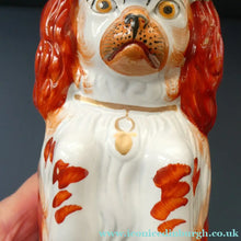 Load image into Gallery viewer, Sweet ANTIQUE STAFFORDSHIRE 19th Century Tall Spaniel Dog Jug or Pitcher
