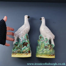 Load image into Gallery viewer, PAIR of Antique 1870s STAFFORDSHIRE Chimney Ornaments of Birds Perched on Mossy Banks
