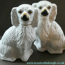 Load image into Gallery viewer, Antique Pair of Staffordshire Chimney Spaniels or Wally Dogs. 11 inches. Yellow Eyes
