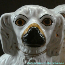 Load image into Gallery viewer, Antique Pair of Staffordshire Chimney Spaniels or Wally Dogs. 11 inches. Yellow Eyes
