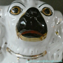 Load image into Gallery viewer, Antique Pair of Staffordshire Chimney Spaniels or Wally Dogs. 11 inches. Yellow Eyes
