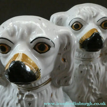 Load image into Gallery viewer, Antique Pair of Staffordshire Chimney Spaniels or Wally Dogs. 11 inches. Yellow Eyes
