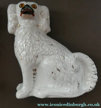 Load image into Gallery viewer, Staffordshire Dogs Chimney Spaniels / Wally Dugs. 8 1/2 inches. ANTIQUE PAIR with amber glass eyes; c1880
