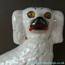 Load image into Gallery viewer, Staffordshire Dogs Chimney Spaniels / Wally Dugs. 8 1/2 inches. ANTIQUE PAIR with amber glass eyes; c1880
