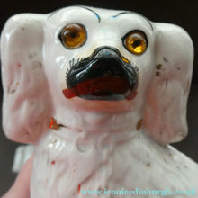 Load image into Gallery viewer, Staffordshire Dogs Chimney Spaniels / Wally Dugs. 8 1/2 inches. ANTIQUE PAIR with amber glass eyes; c1880
