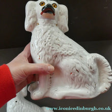 Load image into Gallery viewer, Staffordshire Dogs Chimney Spaniels / Wally Dugs. 8 1/2 inches. ANTIQUE PAIR with amber glass eyes; c1880
