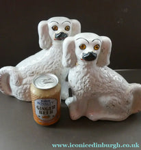 Load image into Gallery viewer, Staffordshire Dogs Chimney Spaniels / Wally Dugs. 8 1/2 inches. ANTIQUE PAIR with amber glass eyes; c1880

