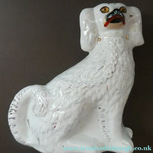 Load image into Gallery viewer, Staffordshire Dogs Chimney Spaniels / Wally Dugs. 8 1/2 inches. ANTIQUE PAIR with amber glass eyes; c1880

